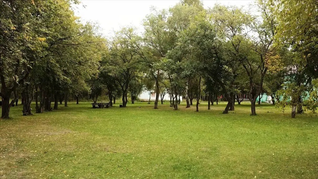 Oak Meadow Park