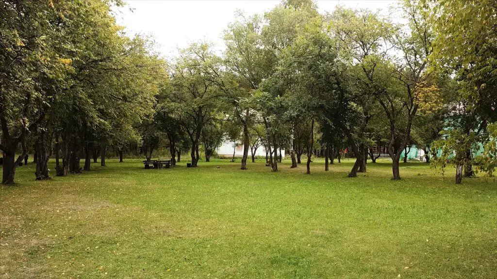 Oak-Meadow-Park